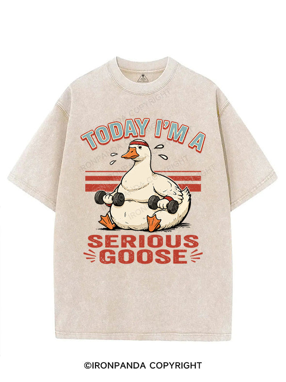 TODAY I'M A Serious Goose VINTAGE GYM SHIRT