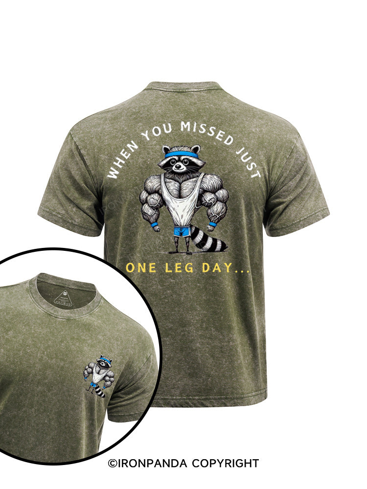 Funny Raccoon leg day printed Washed Gym Shirt