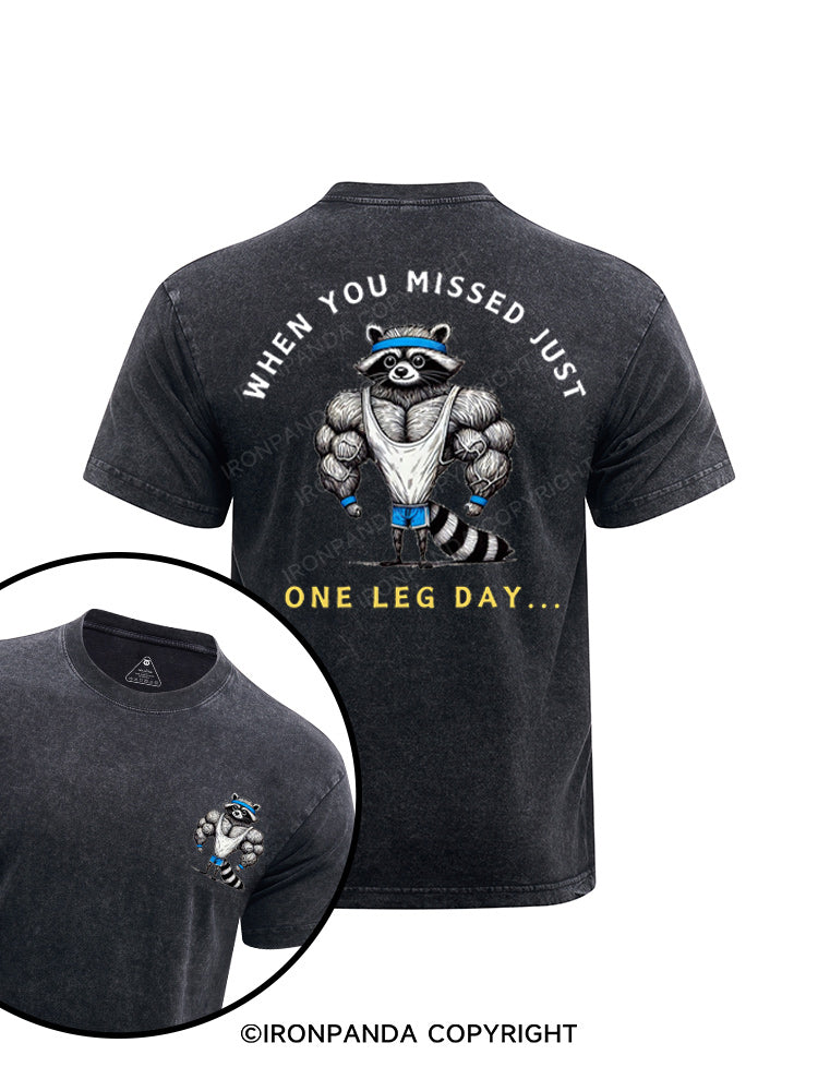 Funny Raccoon leg day printed Washed Gym Shirt