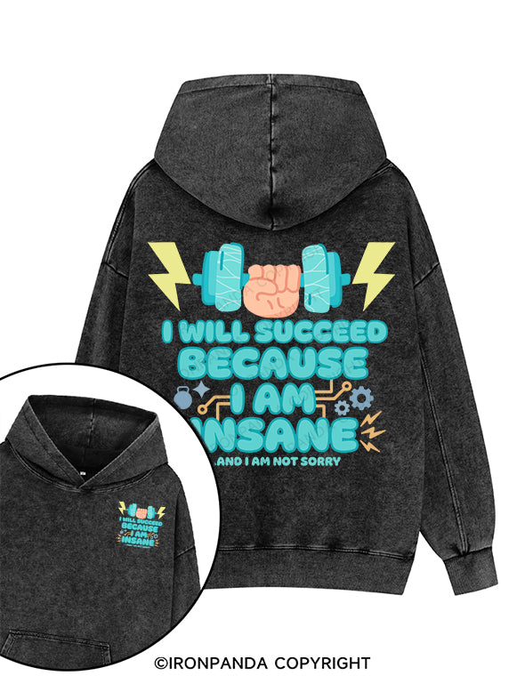I will succeed Printed Washed Gym Hoodie