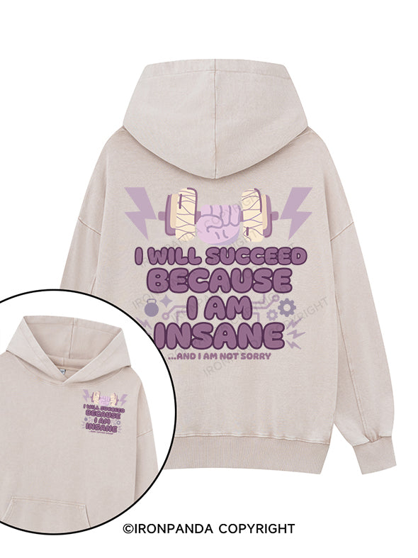 I will succeed Printed Washed Gym Hoodie