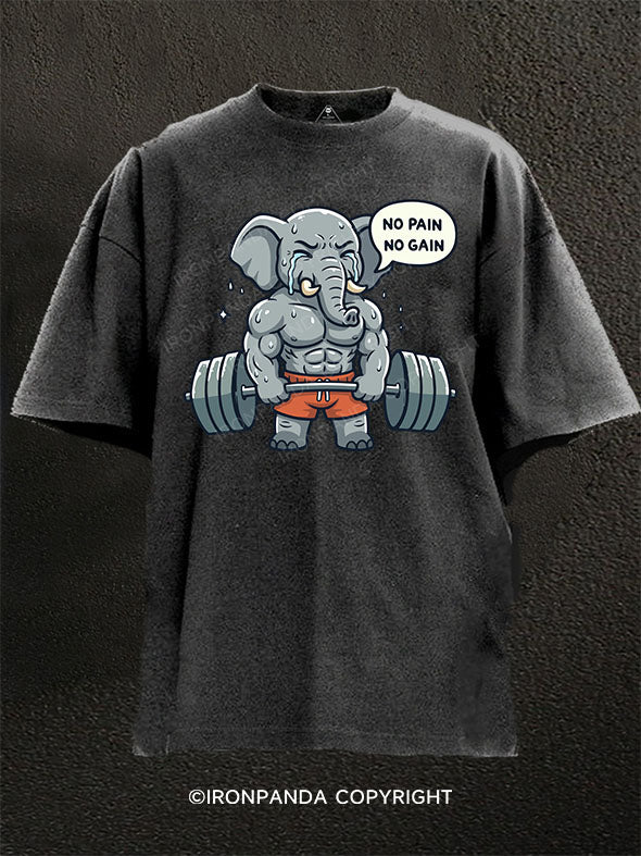 No Pain No Gain Washed Gym Shirt