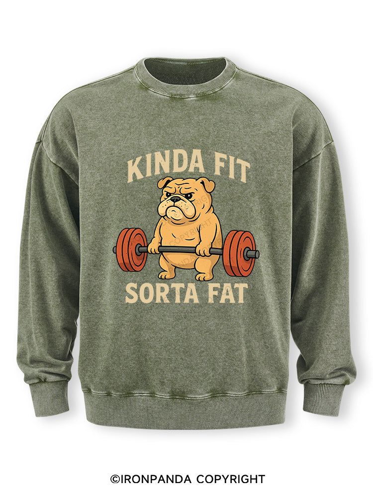 Kinda Fit Sorta Fat Dog New Washed Sweatshirt