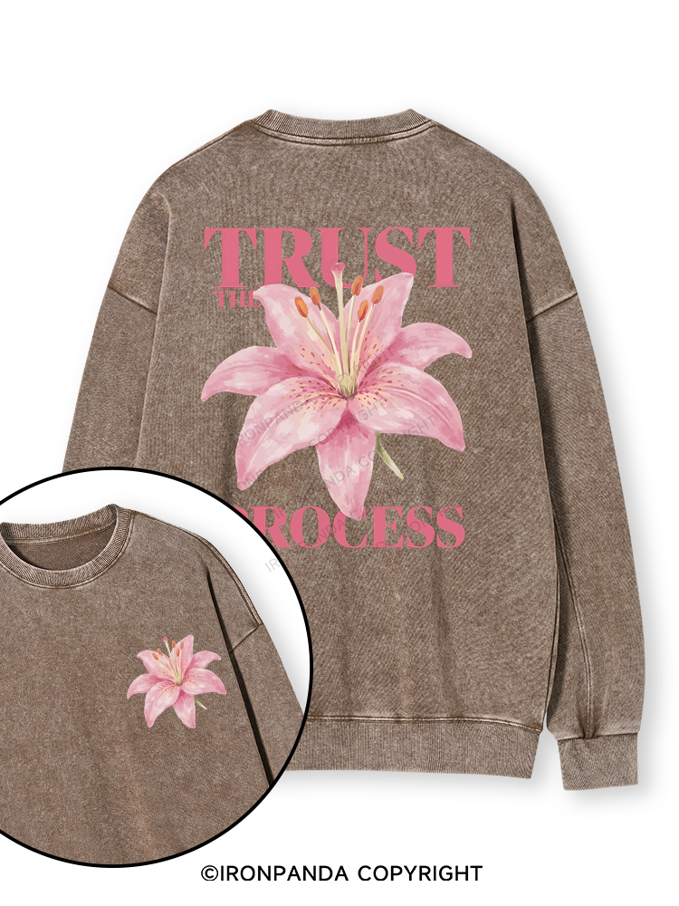 TRUST THE PROCESS Double-Sided Printed Washed Sweatshirt