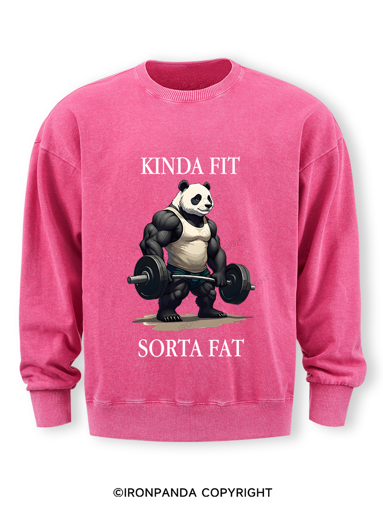 Kinda Fit Sorta Fat  Washed Sweatshirt