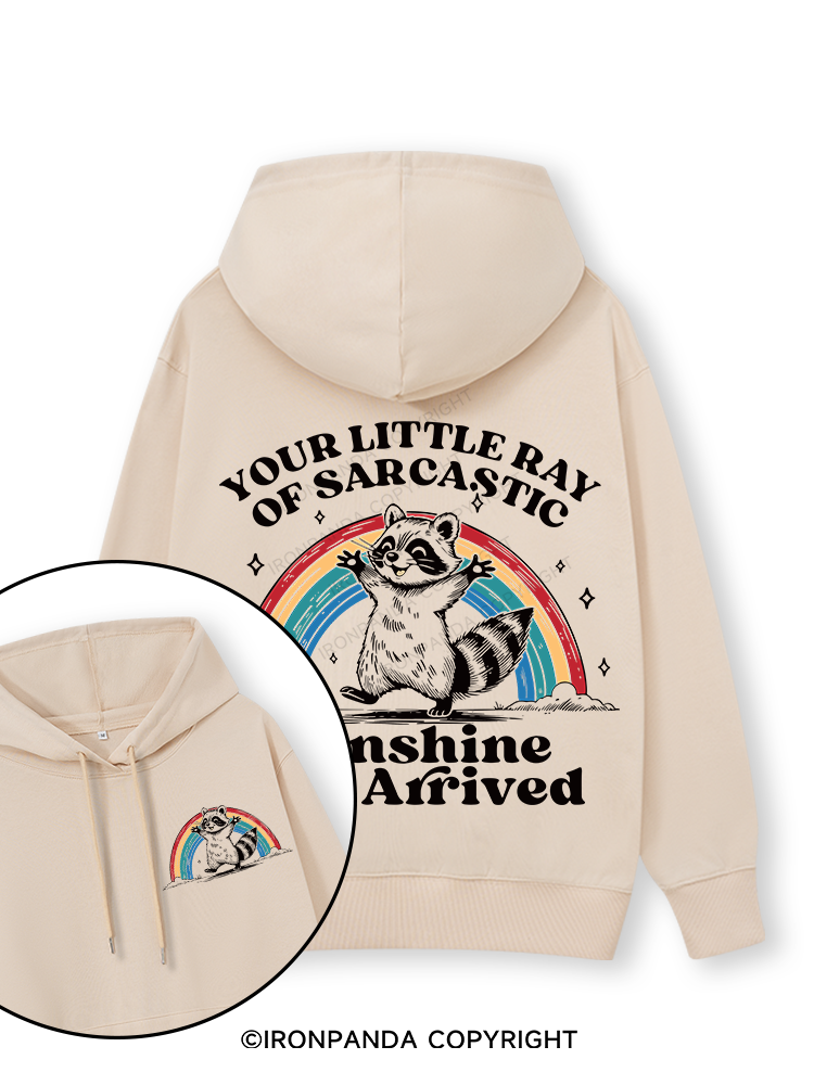 YOUR LITTLE RAY OF SARCASTIC SUNSHINE HAS ARRIVED Double-Sided Printed Classic Gym Hoodie