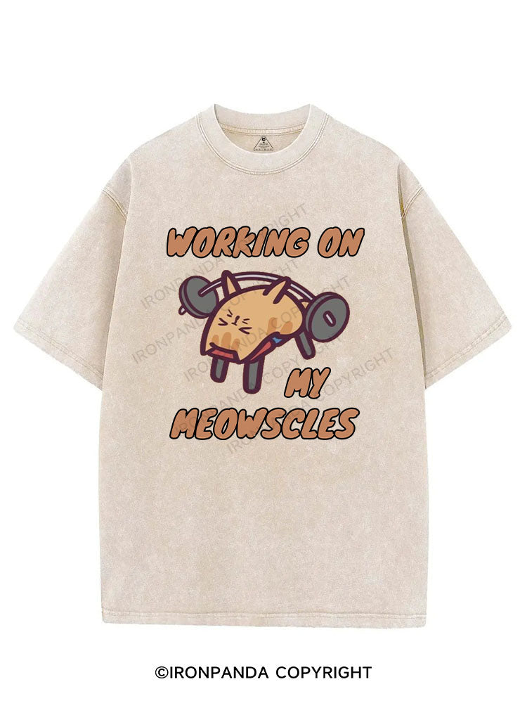 WORKING ON MY MEOWSCLES VINTAGE GYM SHIRT