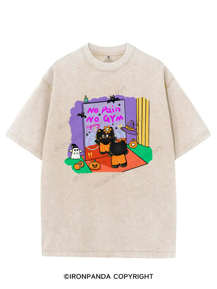 NO PAIN NO GYM VINTAGE GYM SHIRT