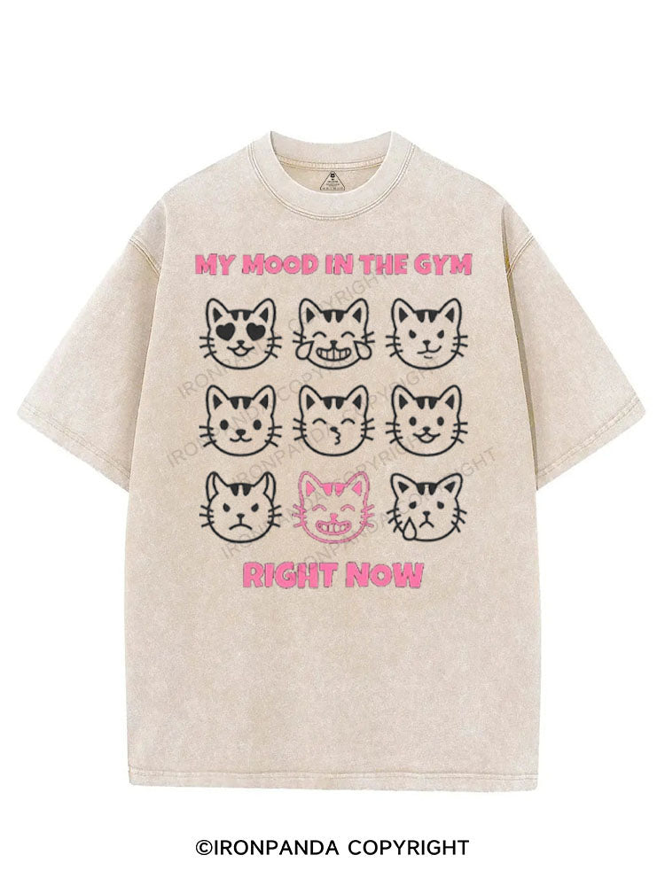 MY MOOD IN THE GYM RIGHT NOW VINTAGE GYM SHIRT
