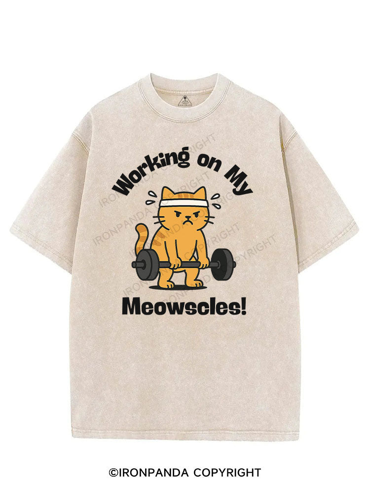 WORKING ON MY MEOWSCLES! VINTAGE GYM SHIRT