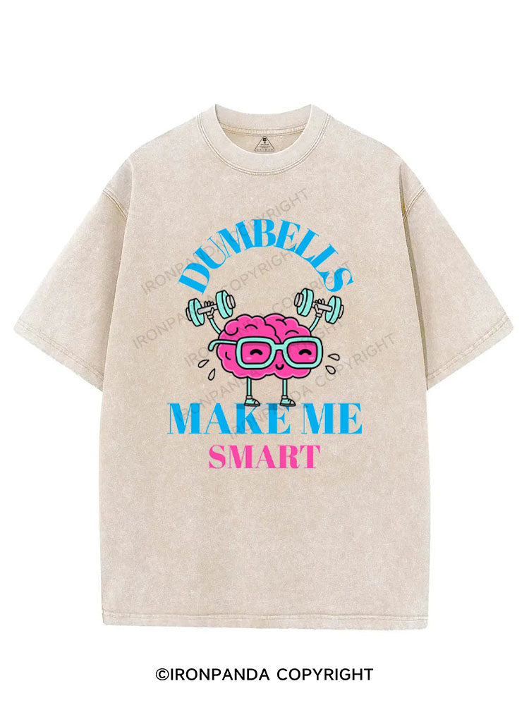 DUMBELLS MAKE ME SMART VINTAGE GYM SHIRT