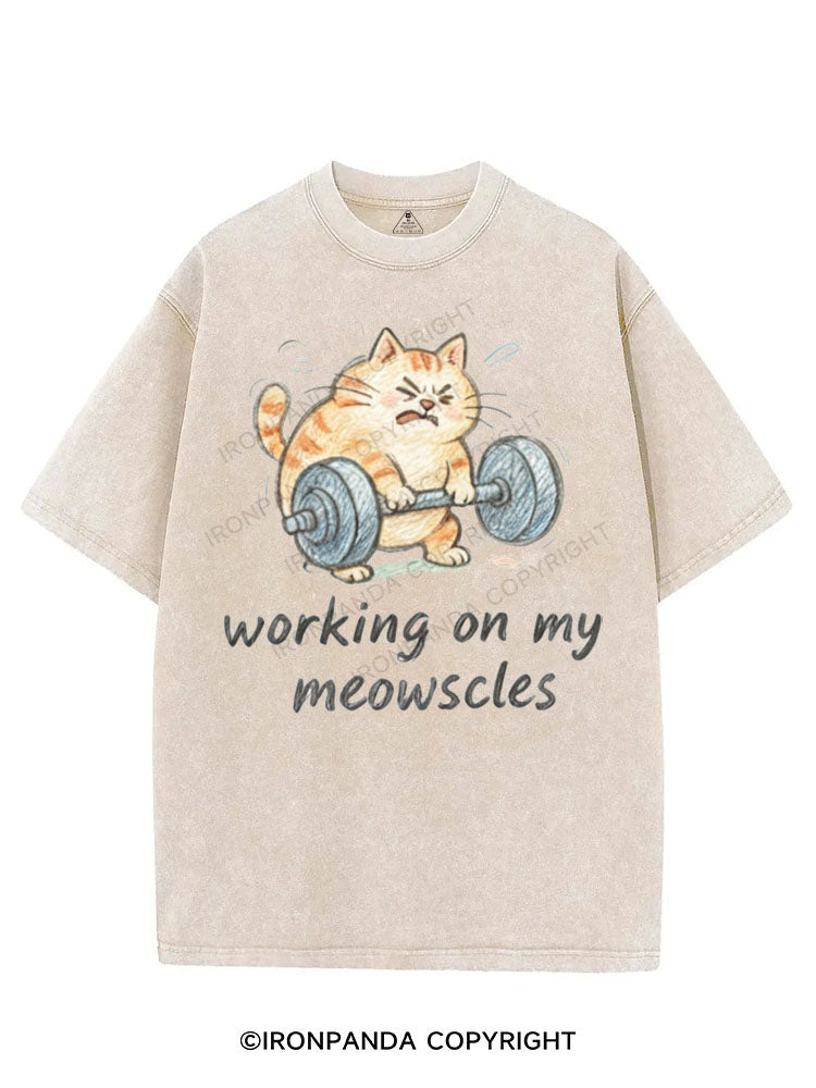 WORKING ON MY MEOWSCLES VINTAGE GYM SHIRT