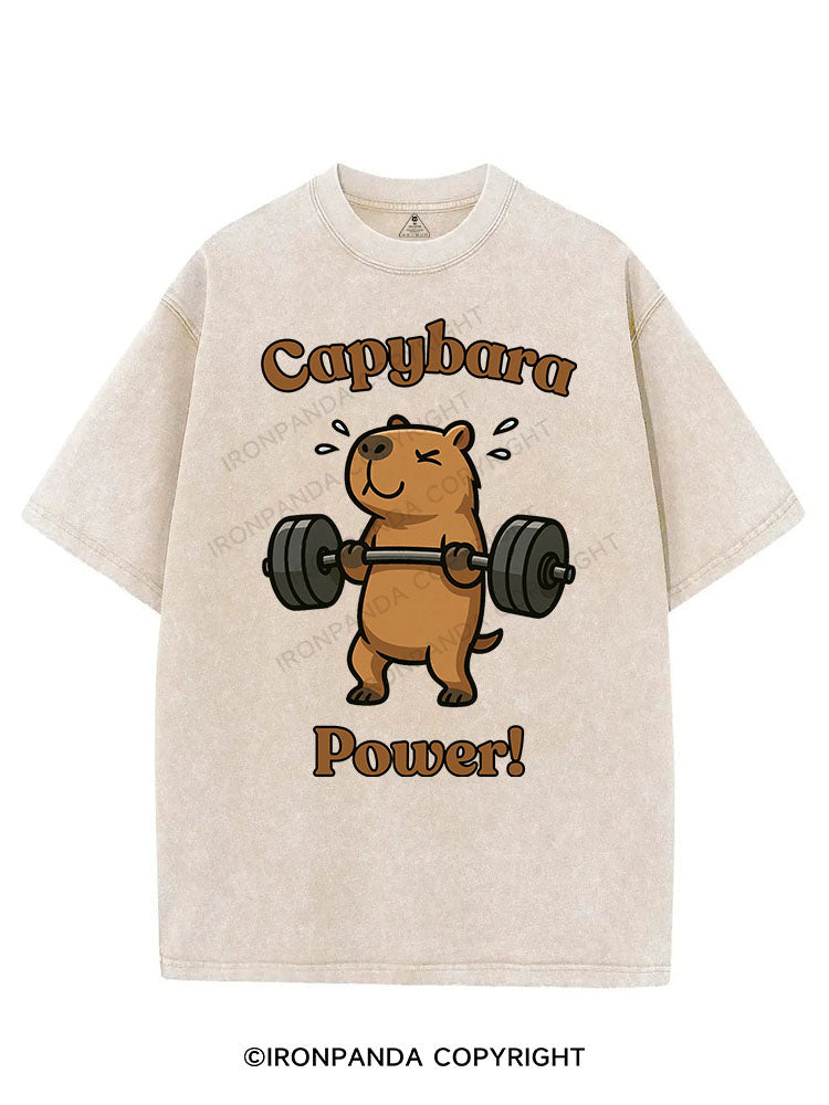 CAPYBARA POWER! VINTAGE GYM SHIRT