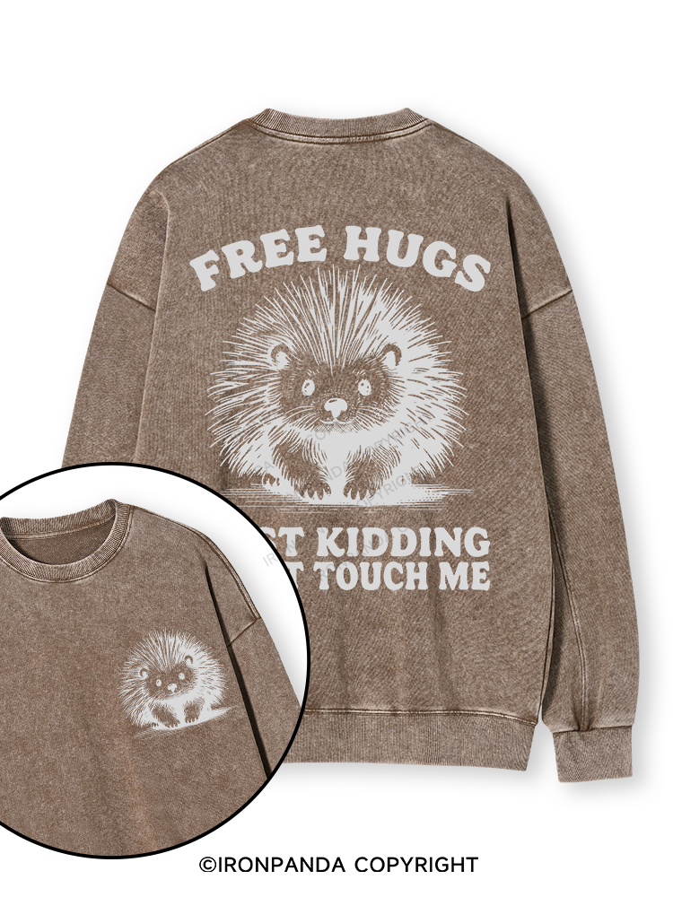 Free Hugs Just Kidding Don't Touch Me Lion Double-Sided Printed Washed Sweatshirt