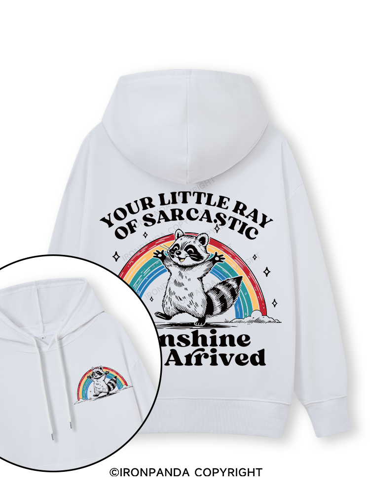 YOUR LITTLE RAY OF SARCASTIC SUNSHINE HAS ARRIVED Double-Sided Printed Classic Gym Hoodie