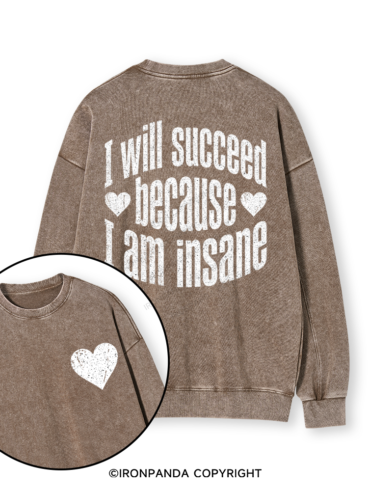 I WILL SUCCEED BECAUSE I AM INSANE Double-Sided Printed Washed Sweatshirt