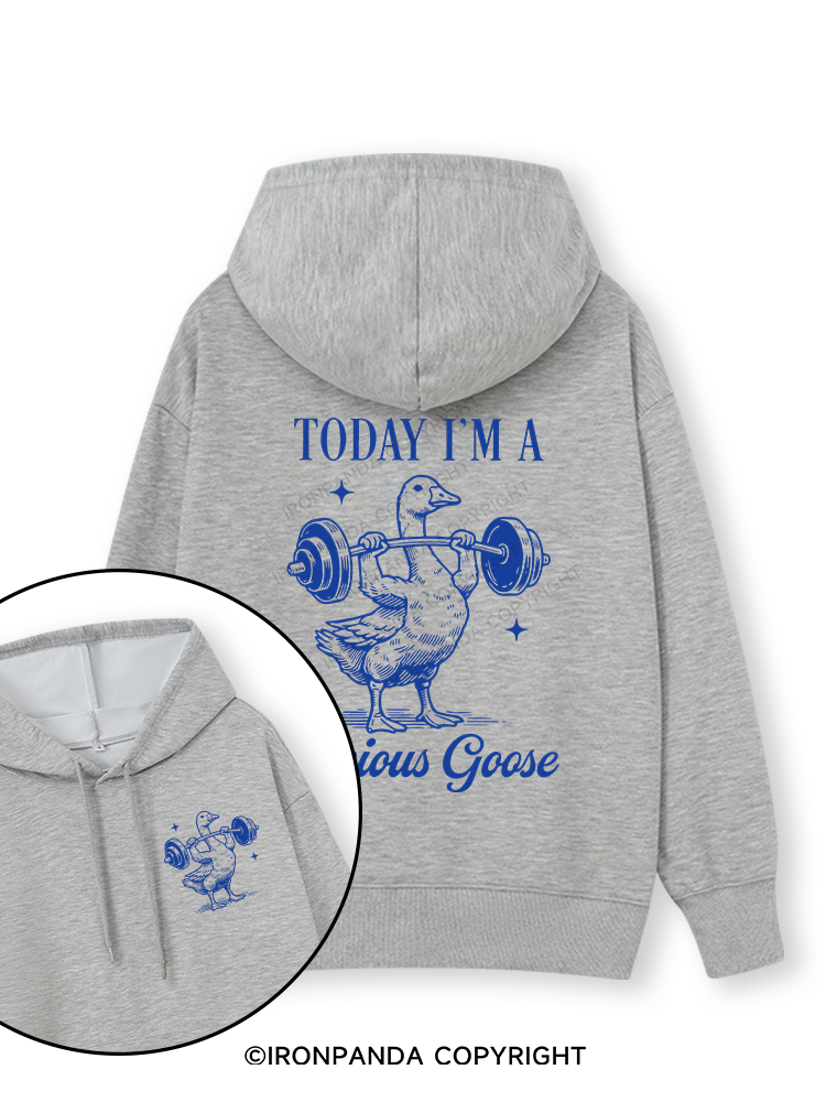 TODAY I'M A Serious Goose Double-Sided Printed Classic Gym Hoodie
