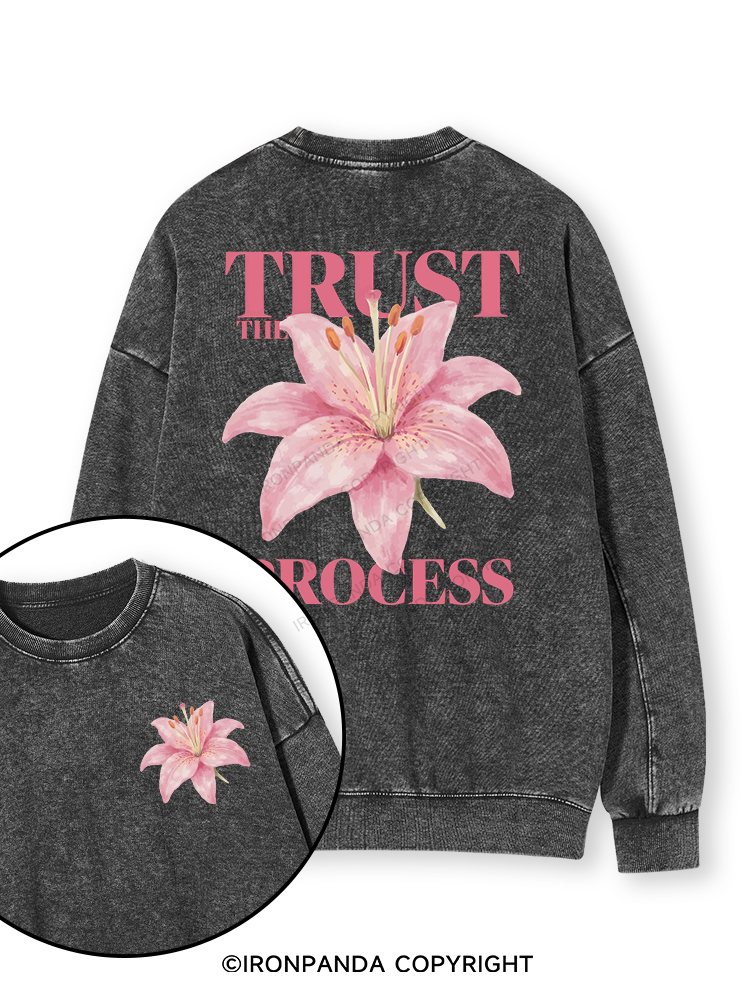 TRUST THE PROCESS Double-Sided Printed Washed Sweatshirt