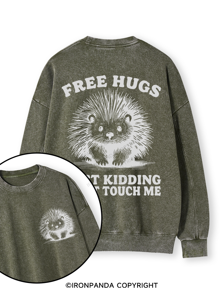 Free Hugs Just Kidding Don't Touch Me Lion Double-Sided Printed Washed Sweatshirt