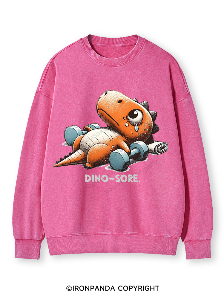 DINO-SORE AFTER WORKOUT Washed Sweatshirt