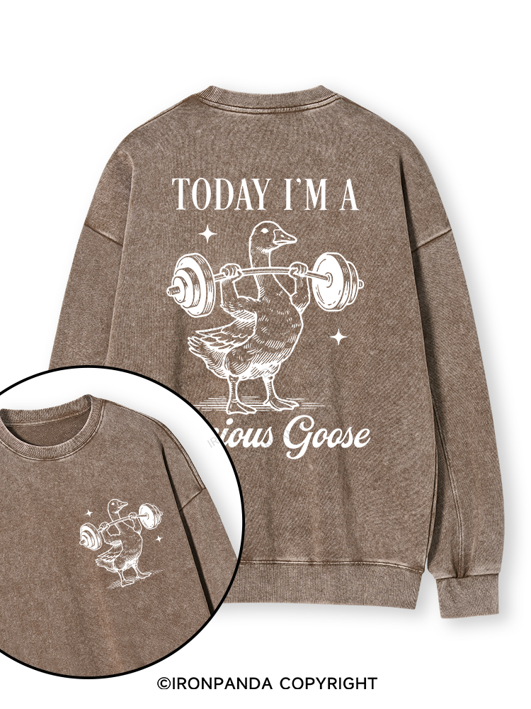 TODAY I'M A Serious Goose Double-Sided Printed Washed Sweatshirt