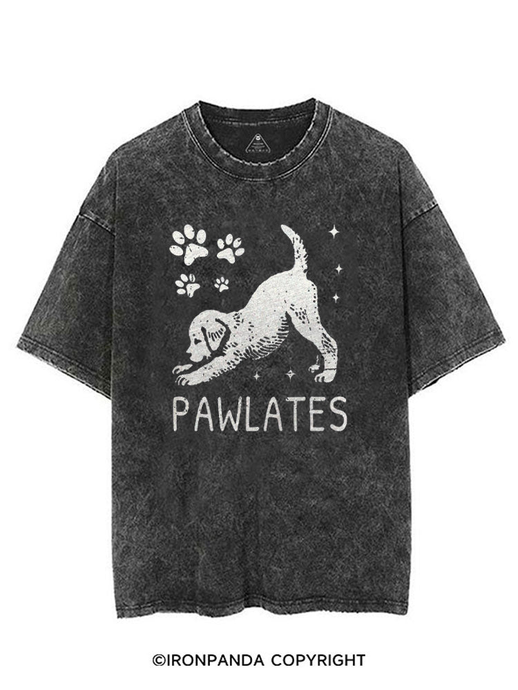 PAWLATES FUNNY DOG VINTAGE GYM SHIRT