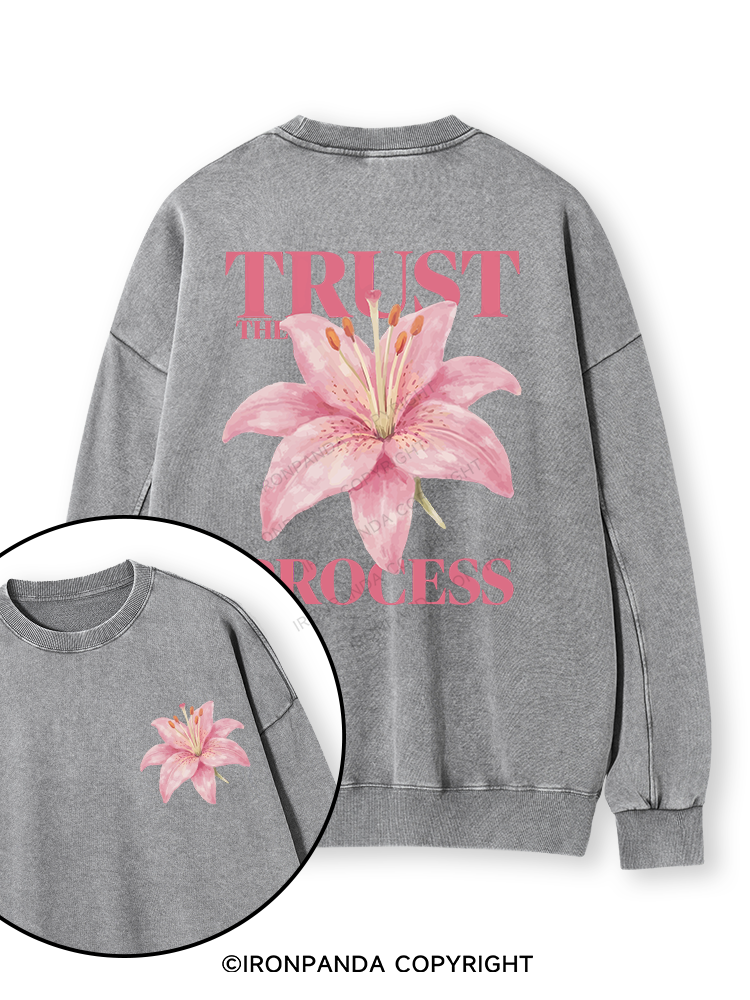 TRUST THE PROCESS Double-Sided Printed Washed Sweatshirt