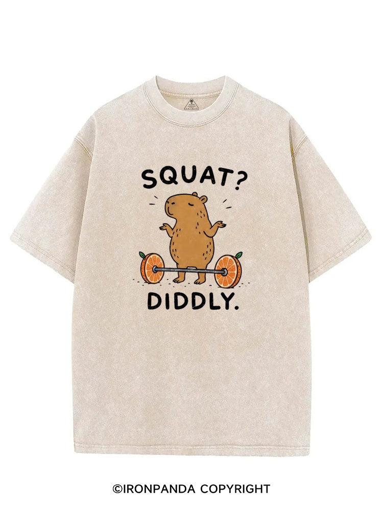 Capybara Squat Diddly VINTAGE GYM SHIRT