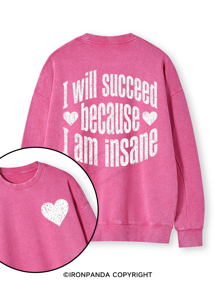 I WILL SUCCEED BECAUSE I AM INSANE Double-Sided Printed Washed Sweatshirt