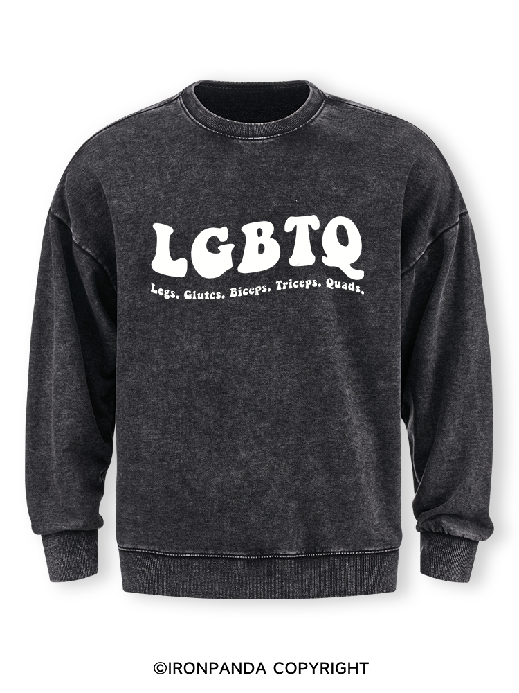 LGBTQ: Legs, Glutes, Biceps, Triceps, Quads Washed Sweatshirt