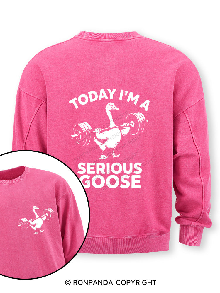 Today i'm a serious goose new Double-Sided Printed Washed Sweatshirt
