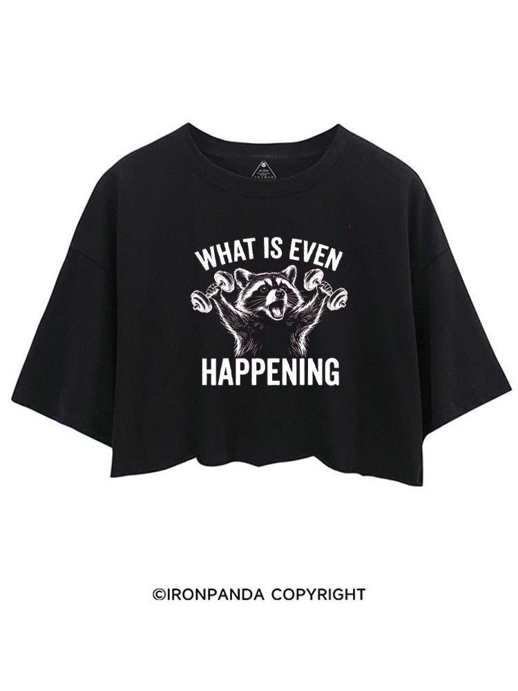 What Is Even Happening Raccoon CROP TOPS