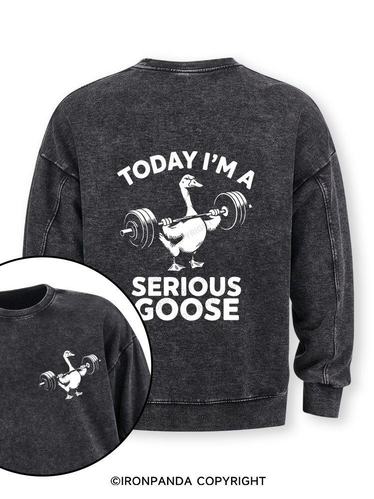 Today i'm a serious goose new Double-Sided Printed Washed Sweatshirt