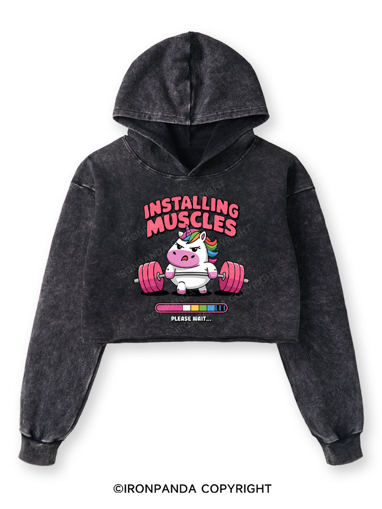 INSTALLING MUSCLES Washed Crop Hoodie