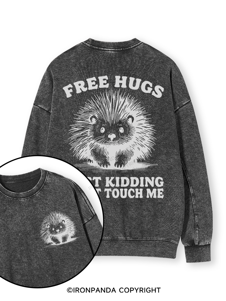 Free Hugs Just Kidding Don't Touch Me Lion Double-Sided Printed Washed Sweatshirt