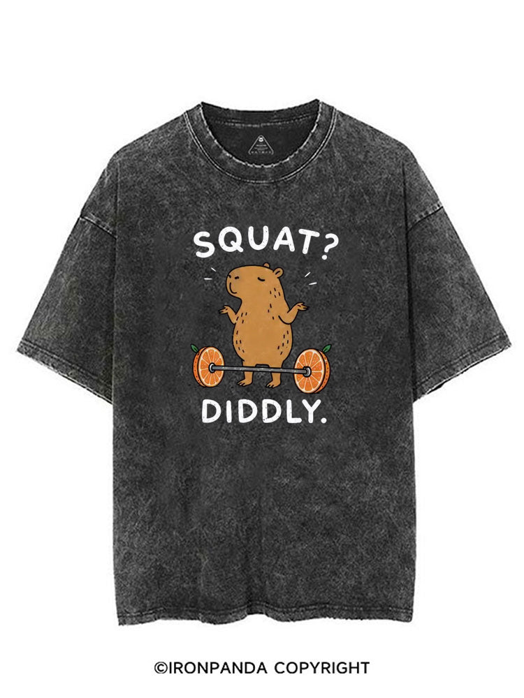 Capybara Squat Diddly VINTAGE GYM SHIRT