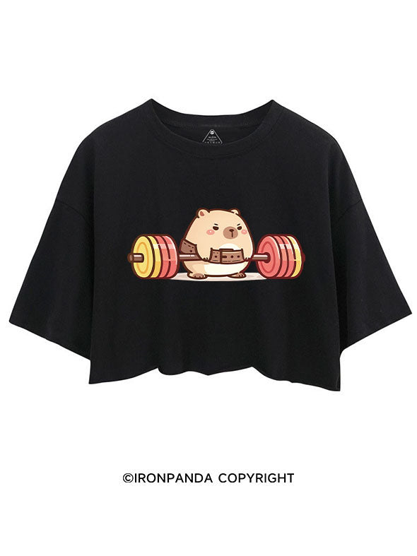 COACH BEARBELL CROP TOPS