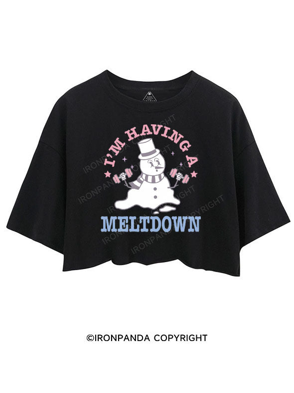 I'M HAVING A MELTDOWN CROP TOPS