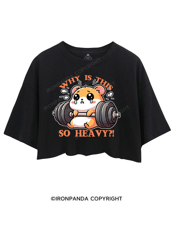 WHY IS THIS SO HEAVY？！ CROP TOPS