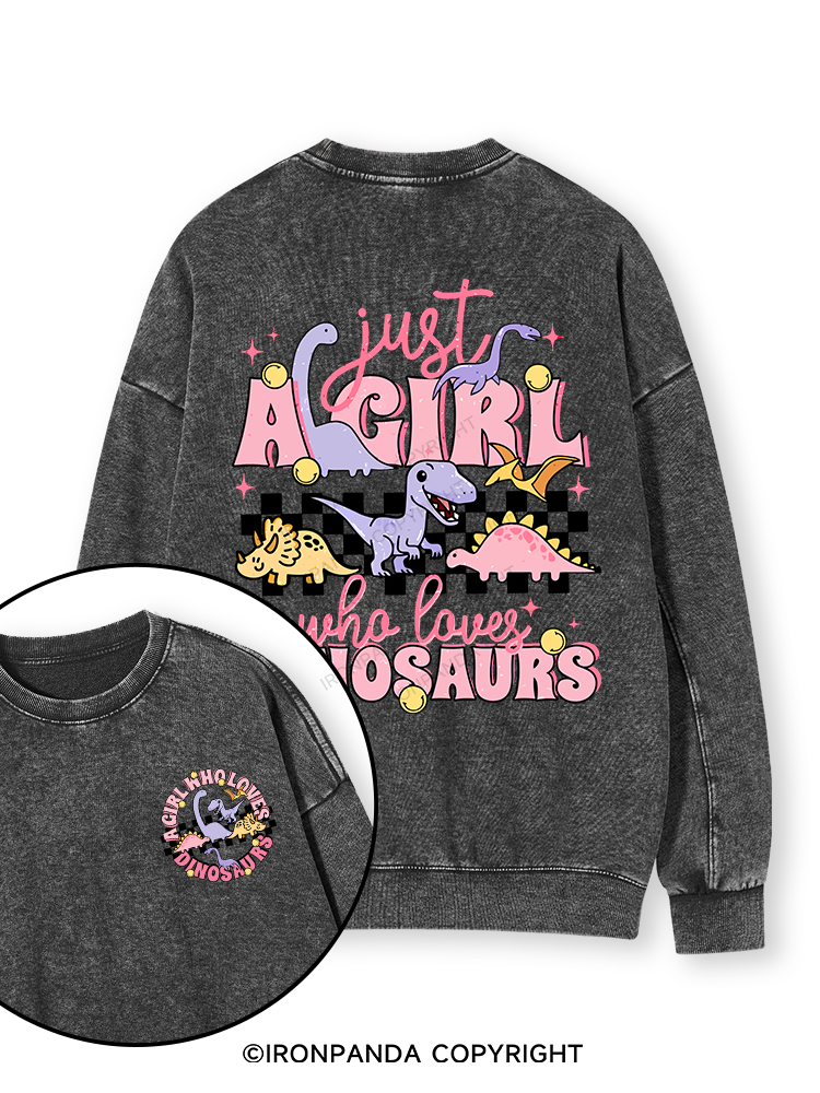 Just A Girl Who Loves Dinosaurs Double-Sided Printed Washed Sweatshirt
