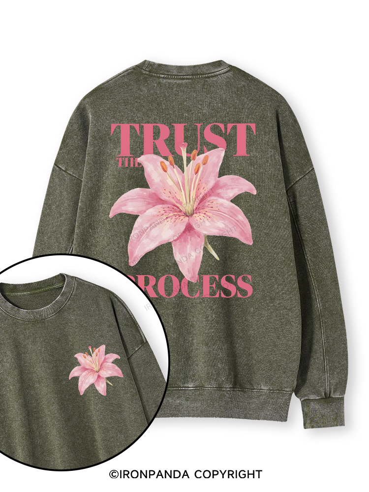 TRUST THE PROCESS Double-Sided Printed Washed Sweatshirt