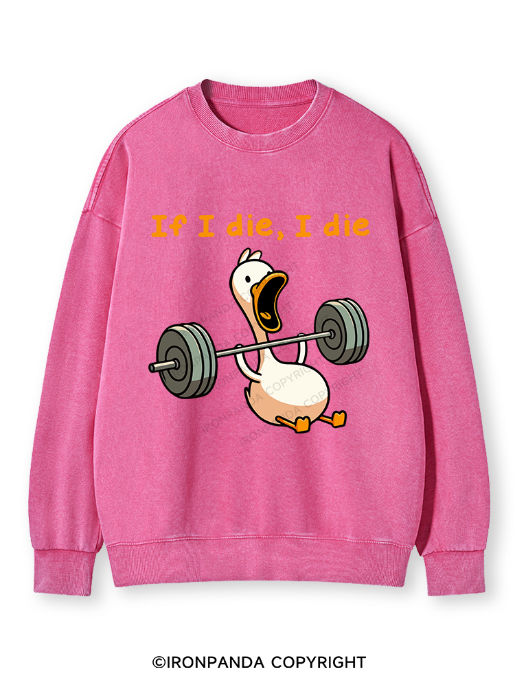 IF I DIE I DIE Washed Sweatshirt