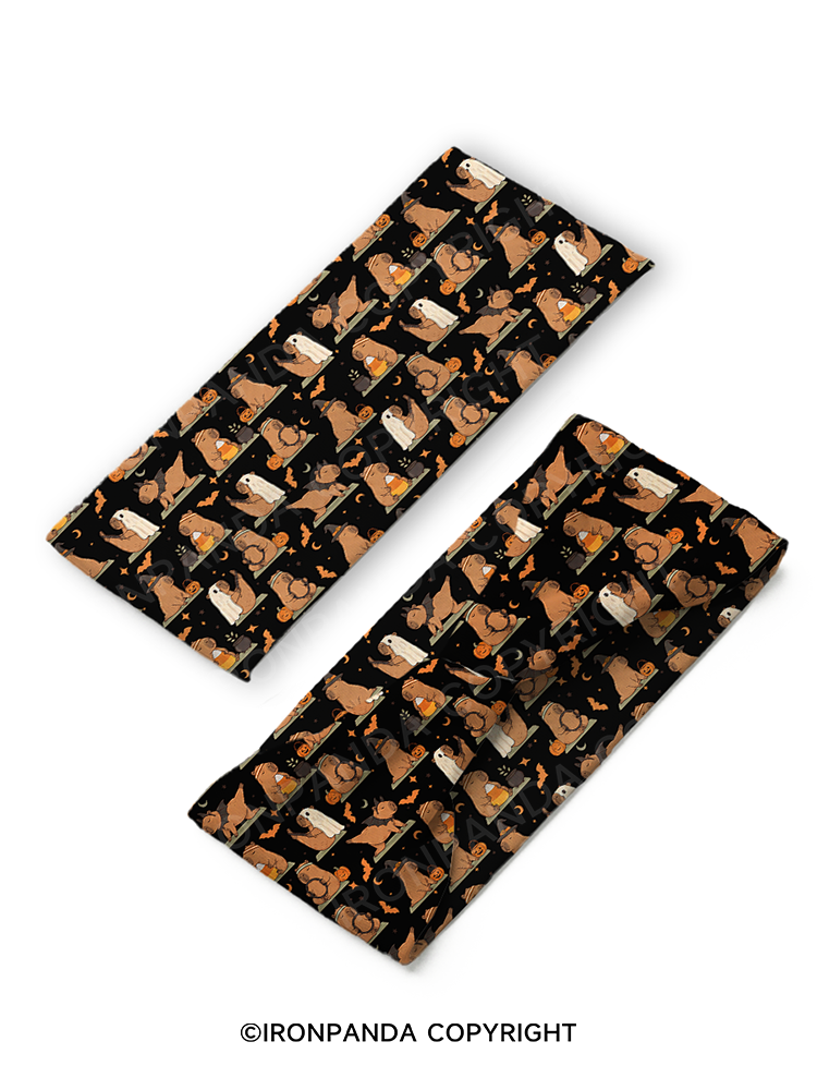 Capybara Pilates Gym Headband