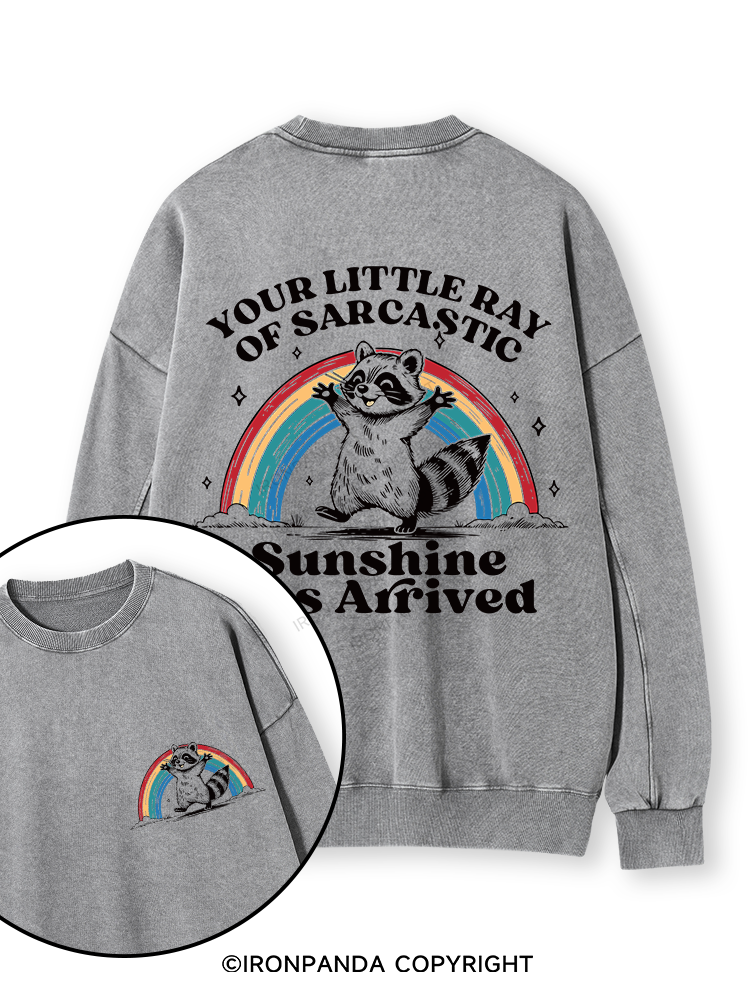 YOUR LITTLE RAY OF SARCASTIC SUNSHINE HAS ARRIVED Double-Sided Printed Washed Sweatshirt