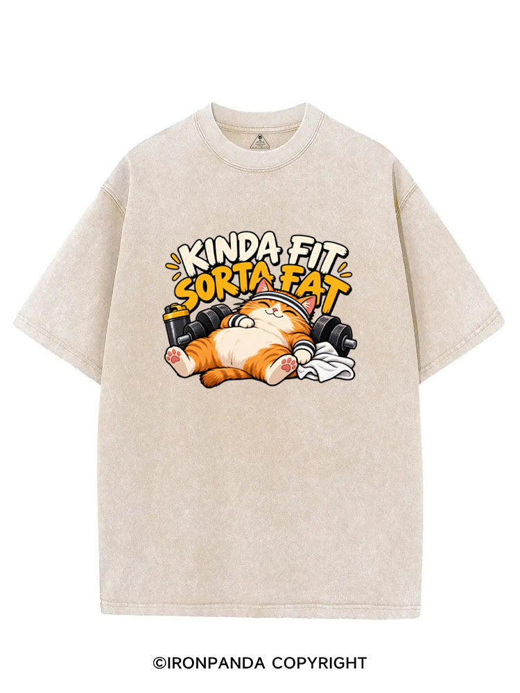 Kinda Fit Sorta Fat Cute Gym Cat VINTAGE GYM SHIRT