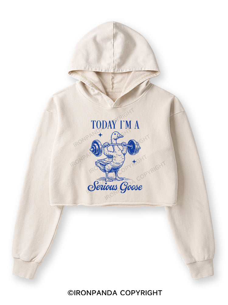 TODAY I'M A Serious Goose Washed Crop Hoodie