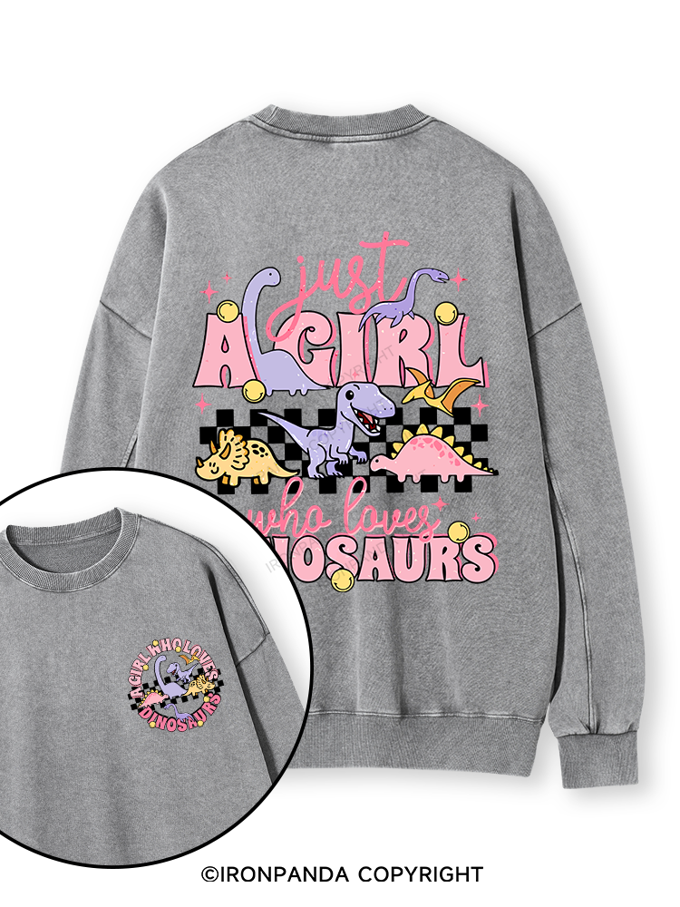 Just A Girl Who Loves Dinosaurs Double-Sided Printed Washed Sweatshirt