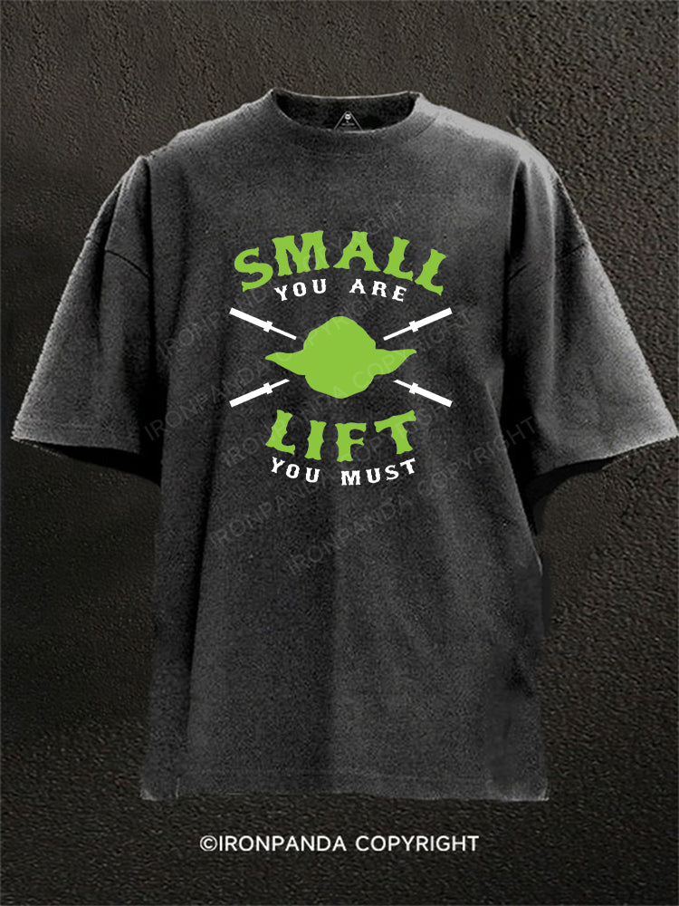 Small You Are Lift You Must Washed Gym Shirt
