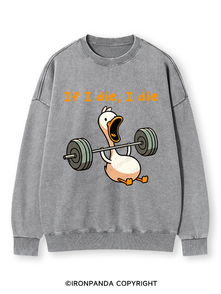 IF I DIE I DIE Washed Sweatshirt