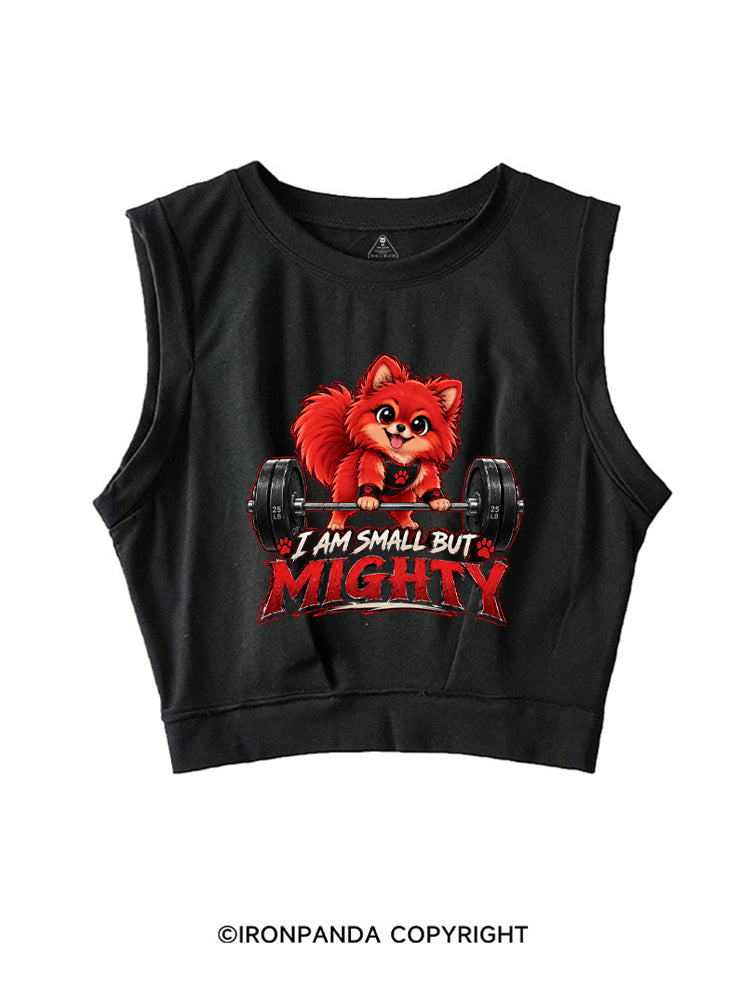 I AM SMALL BUT MIGHTY SLEEVELESS CROP TOPS